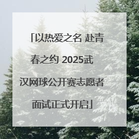 以热爱之名 赴青春之约 2025武汉网球公开赛志愿者面试正式开启