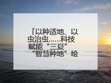 以种适地、以虫治虫……科技赋能“三夏” “智慧种地”绘就好“丰”景
