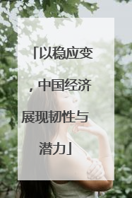 以稳应变，中国经济展现韧性与潜力