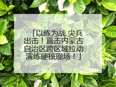 以练为战 尖兵出击！直击内蒙古自治区跨区域拉动演练硬核现场！