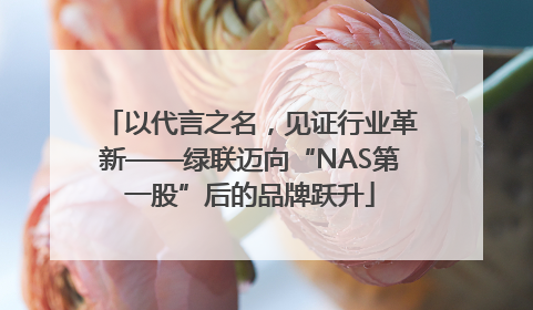 以代言之名，见证行业革新——绿联迈向“NAS第一股”后的品牌跃升