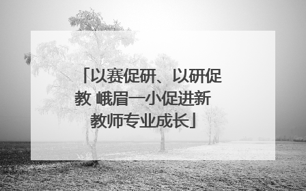 以赛促研、以研促教 峨眉一小促进新教师专业成长