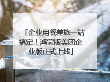 企业用餐差旅一站搞定！鸿蒙版美团企业版正式上线