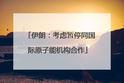 伊朗：考虑暂停同国际原子能机构合作