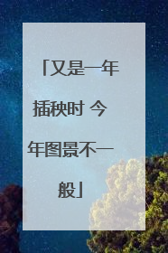 又是一年插秧时 今年图景不一般