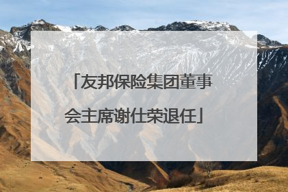 友邦保险集团董事会主席谢仕荣退任