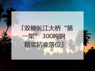 双柳长江大桥“第一架” 300吨钢箱梁精准落位