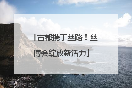 古都携手丝路！丝博会绽放新活力