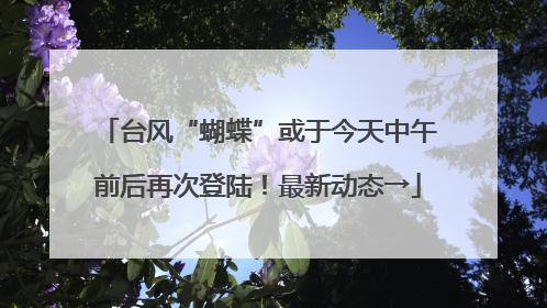 台风“蝴蝶”或于今天中午前后再次登陆！最新动态→