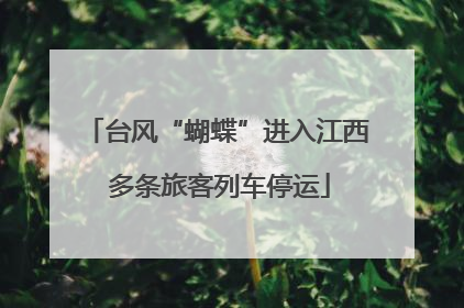 台风“蝴蝶”进入江西 多条旅客列车停运
