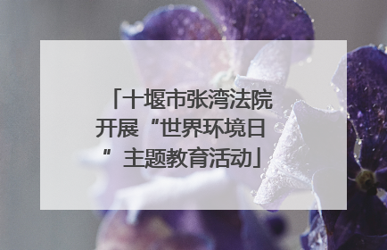 十堰市张湾法院开展“世界环境日”主题教育活动