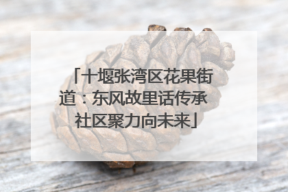 十堰张湾区花果街道：东风故里话传承 社区聚力向未来