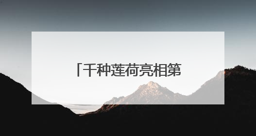 千种莲荷亮相第37届广州莲花山莲花文化旅游节