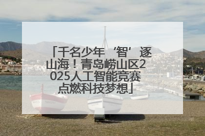 千名少年‘智’逐山海！青岛崂山区2025人工智能竞赛点燃科技梦想