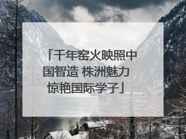 千年窑火映照中国智造 株洲魅力惊艳国际学子