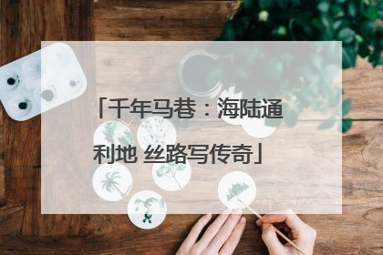 千年马巷：海陆通利地 丝路写传奇