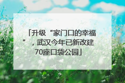 升级“家门口的幸福”，武汉今年已新改建70座口袋公园