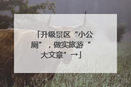升级景区“小公厕”，做实旅游“大文章”→
