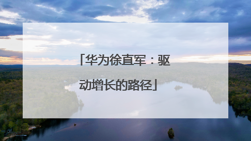 华为徐直军：驱动增长的路径