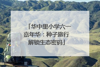 华中里小学六一嘉年华：种子旅行解锁生态密码