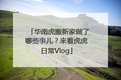 华南虎搬新家做了哪些事儿？来看虎虎日常Vlog
