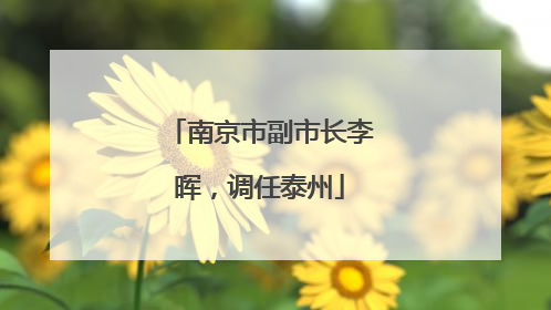 南京市副市长李晖，调任泰州