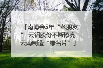 南博会5年“老朋友” 云铝股份不断擦亮云南制造“绿名片”