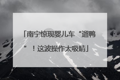 南宁惊现婴儿车“遛鸭”！这波操作太吸睛