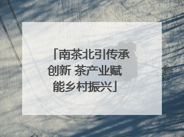 南茶北引传承创新 茶产业赋能乡村振兴
