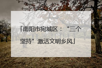 南阳市宛城区：“三个坚持”激活文明乡风