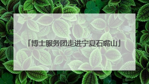 博士服务团走进宁夏石嘴山