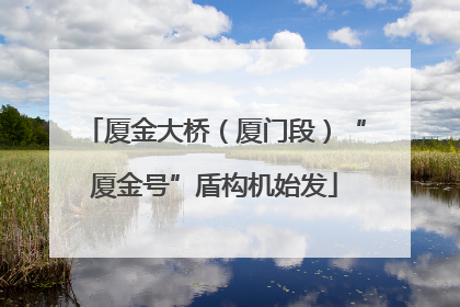 厦金大桥（厦门段）“厦金号”盾构机始发