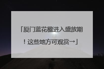 厦门蓝花楹进入盛放期！这些地方可观赏→
