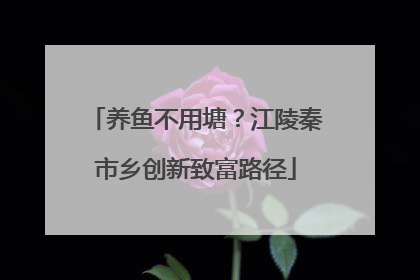 养鱼不用塘？江陵秦市乡创新致富路径
