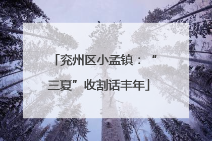 兖州区小孟镇：“三夏”收割话丰年