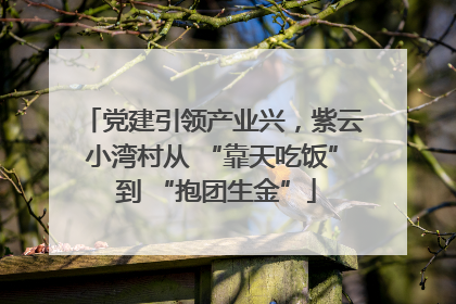 党建引领产业兴，紫云小湾村从 “靠天吃饭” 到 “抱团生金”