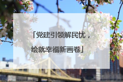党建引领解民忧，绘就幸福新画卷
