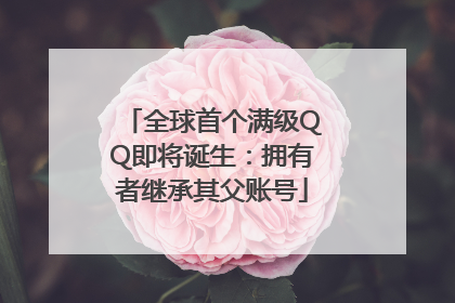 全球首个满级QQ即将诞生：拥有者继承其父账号