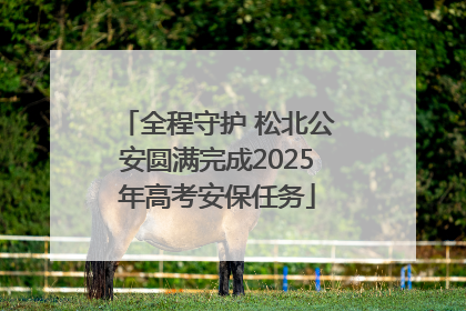 全程守护 松北公安圆满完成2025年高考安保任务