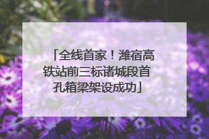 全线首家！潍宿高铁站前三标诸城段首孔箱梁架设成功
