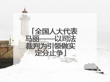 全国人大代表马丽——以司法裁判为引领做实定分止争