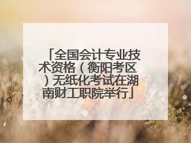 全国会计专业技术资格（衡阳考区）无纸化考试在湖南财工职院举行