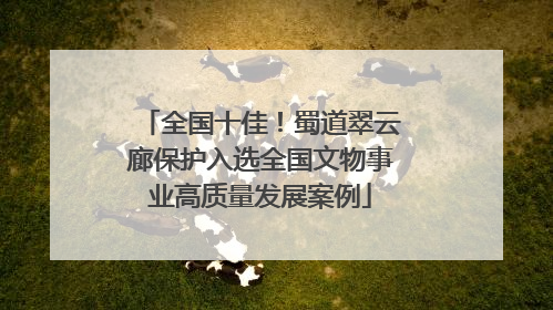 全国十佳！蜀道翠云廊保护入选全国文物事业高质量发展案例