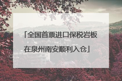 全国首票进口保税岩板在泉州南安顺利入仓