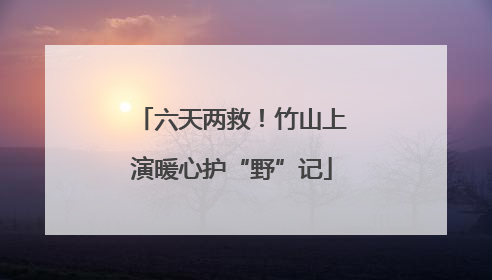 六天两救！竹山上演暖心护“野”记