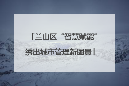兰山区“智慧赋能”绣出城市管理新图景