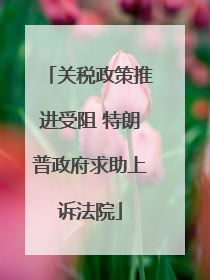 关税政策推进受阻 特朗普政府求助上诉法院