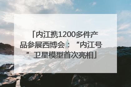 内江携1200多件产品参展西博会：“内江号”卫星模型首次亮相
