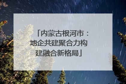 内蒙古根河市：地企共建聚合力构建融合新格局
