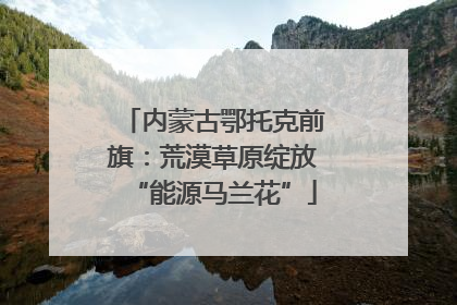 内蒙古鄂托克前旗：荒漠草原绽放“能源马兰花”